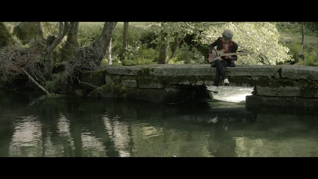 Video Reference: Nature, Water, Natural environment, Water resources, Watercourse, Wilderness, Bank, Pond, River, Bayou