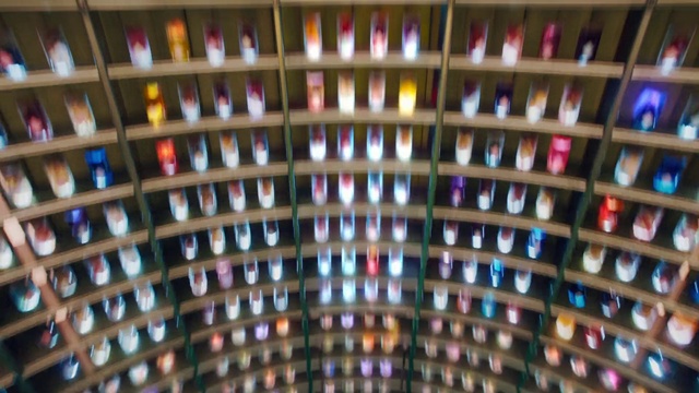 Video Reference: Architecture, Bookcase, Symmetry, Book, Library, Pattern, Collection, Building, Shelving