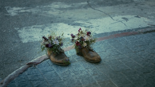 Video Reference: water, plant, tree, flower