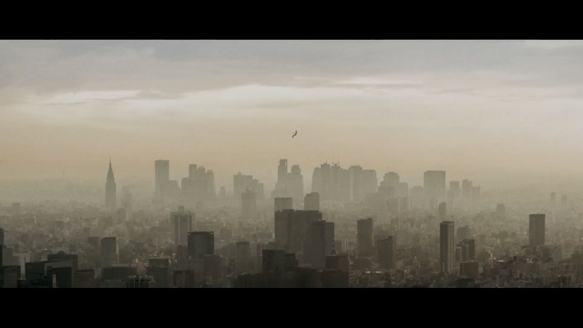Video Reference: Cityscape, Metropolitan area, Metropolis, Urban area, Atmospheric phenomenon, City, Daytime, Sky, Skyscraper, Skyline, Person