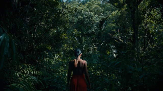Video Reference: woman, girl, nature, green, forest, tree, vegetation, ecosystem, jungle, darkness, leaf, old growth forest