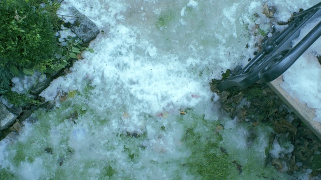 Video Reference: water, green, vegetation, water resources, leaf, watercourse, tree, grass, moss