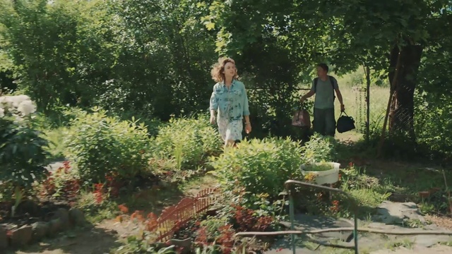 Video Reference: Garden, Nature, Natural landscape, Botany, Shrub, Tree, Plant, Plant community, Grass, Landscape