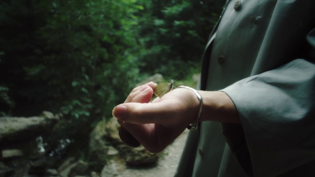 Video Reference: Hand, Natural environment, Finger, Forest, Tree, Adaptation, Rainforest, Jungle, Plant, Adventure, Person, Outdoor, Man, Holding, Woman, Wearing, Front, Standing, Young, Shirt, Phone, White