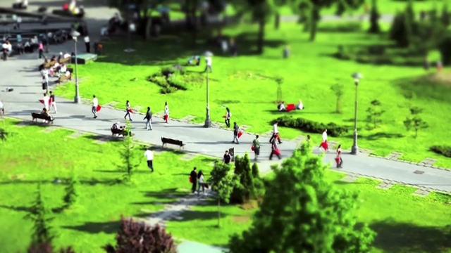 Video Reference: grass, tree, plant, lawn, leisure, recreation, landscape, park