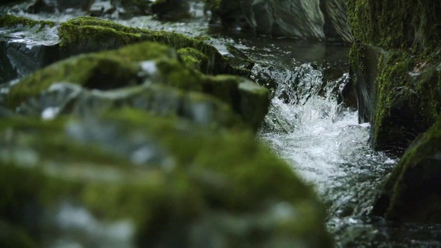 Video Reference: Water, Nature, Water resources, Stream, Watercourse, Natural landscape, Vegetation, Green, Natural environment, Nature reserve
