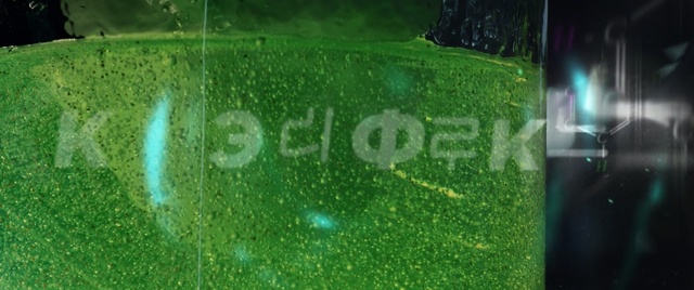 Video Reference: Green, Leaf, Grass, Close-up, Water, Plant, Sunlight, Photography