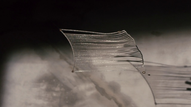 Video Reference: Water, Black-and-white, Sky, Monochrome, Architecture, Monochrome photography, Stock photography, Photography, Metal