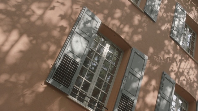 Video Reference: building, architecture, window, daylighting, facade, glass, roof, house, angle, sky, Person