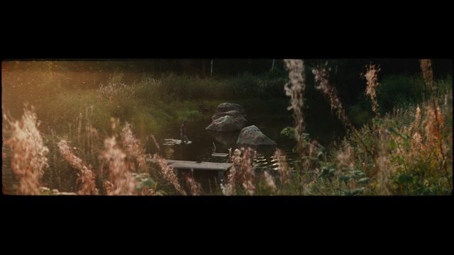 Video Reference: Nature, Wildlife, Vegetation, Grass, Leaf, Grass family, Organism, Darkness, Tree, Biome