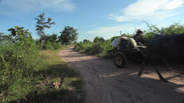 Video Reference: road, car, wilderness, vehicle, mode of transport, transport, rural area, pasture, path, safari