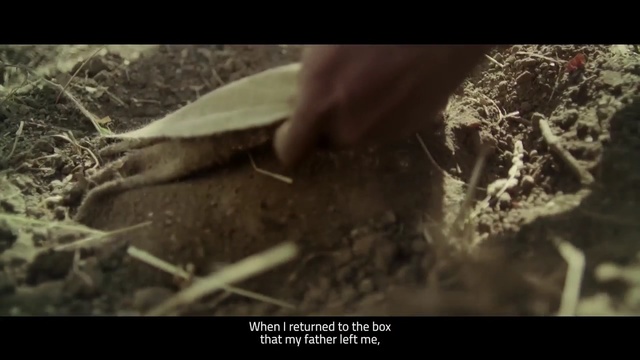 Video Reference: soil, organism, screenshot, tree, grass, Person