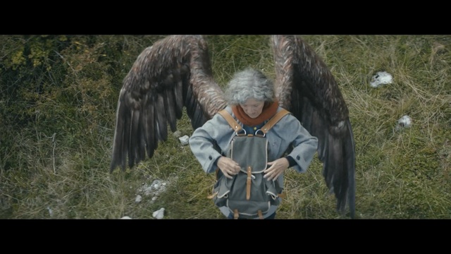 Video Reference: Bird, Tree, Wildlife, Adaptation, Screenshot, Bird of prey