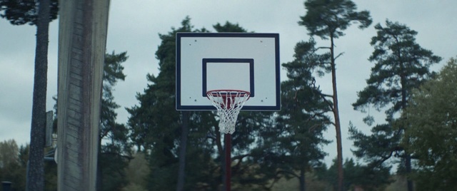 Video Reference: Basketball hoop, Basketball court, Tree, Basketball, Signage, Sign, Plant, Street sign, Sport venue, Person