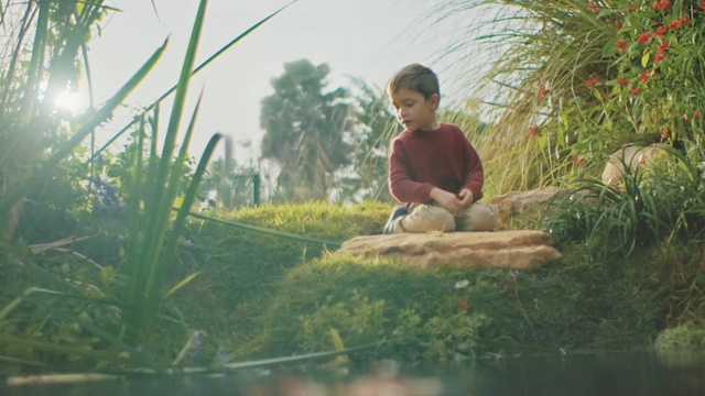 Video Reference: People in nature, Grass, Grass, Botany, Sunlight, Plant, Landscape, Adaptation, Garden, Leisure, Person