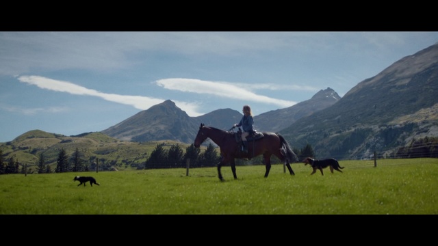 Video Reference: Horse, Grassland, Vertebrate, Pasture, Mammal, Ranch, Steppe, Natural environment, Mountainous landforms, Halter