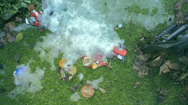 Video Reference: grass, leaf, biome, plant, tree, lawn, water, landscape, Person