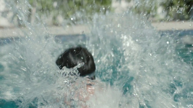 Video Reference: Water, Sporting Group, Canidae, Newfoundland