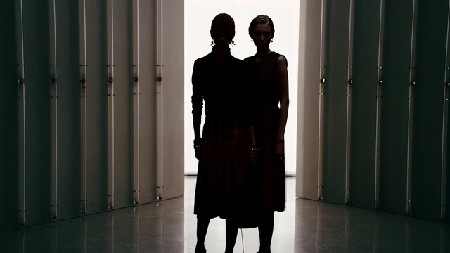 Video Reference: Standing, Silhouette, Shadow, Photography, Gentleman, Gesture, Person