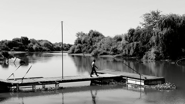 Video Reference: reflection, water, black and white, waterway, tree, monochrome photography, bayou, river, photography, sky