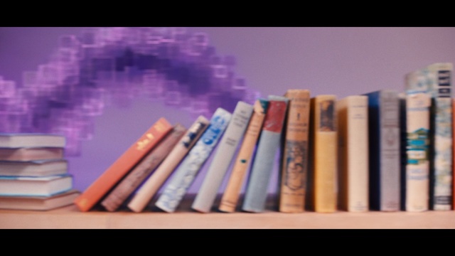 Video Reference: Book, Publication, Shelf, Shelving, Pastel, Bookcase, Person