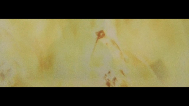 Video Reference: Yellow, Brown, Atmosphere, Wood, Painting, Art