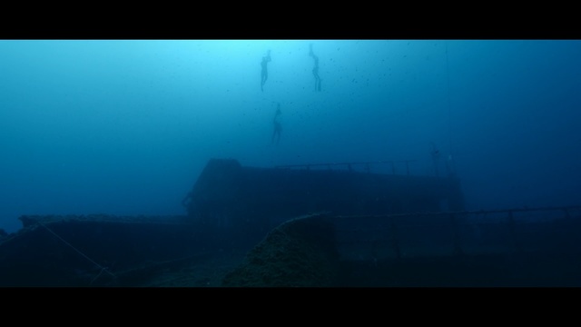 Video Reference: underwater, atmosphere, sea, water, shipwreck, sky, darkness, screenshot, reef, marine biology