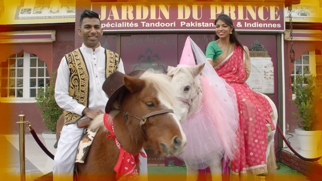 Video Reference: Horse, Pack animal, Fun, Temple, Mane, Livestock, Person