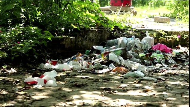 Video Reference: Waste, Pollution, Botany, Watercourse, Litter, Plant, Pond