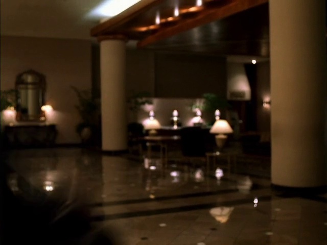 Video Reference: Property, Lighting, Lobby, Room, Interior design, Building, Hardwood, Floor, House, Light fixture