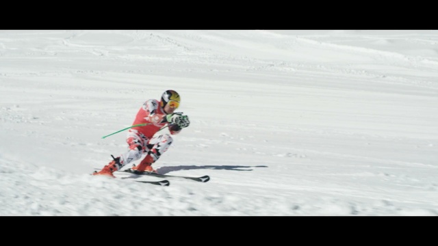 Video Reference: Skier, Snow, Winter sport, Ski cross, Sports, Freestyle skiing, Sports equipment, Alpine skiing, Ski, Downhill