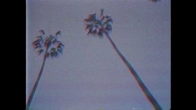 Video Reference: Flower, Plant, Plant stem, Flowering plant, Drawing, Wildflower