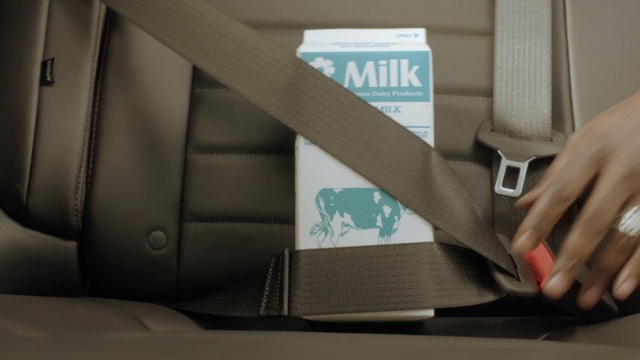 Video Reference: Car seat, Auto part, Seat belt, Family car, Comfort