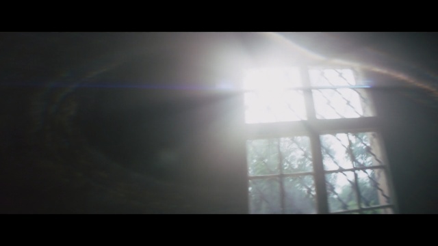 Video Reference: White, Light, Atmosphere, Atmospheric phenomenon, Sky, Sunlight, Darkness, Tree, Lens flare, Window, Person