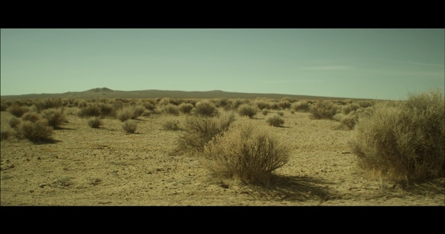 Video Reference: ecosystem, sky, grassland, steppe, wilderness, ecoregion, shrubland, savanna, plain, prairie