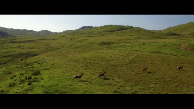 Video Reference: grassland, highland, hill, ecosystem, pasture, vegetation, wilderness, plain, sky, mountainous landforms