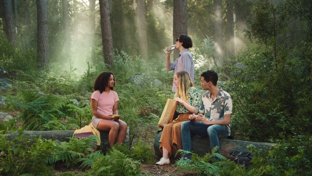 Video Reference: People in nature, Nature, Photograph, Green, Forest, Natural environment, Natural landscape, Tree, Sitting, Jungle