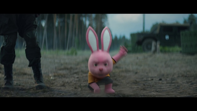 Video Reference: Photograph, Nature, Pink, Nose, Snapshot, Fun, Organism, Ear, Photography, Grass