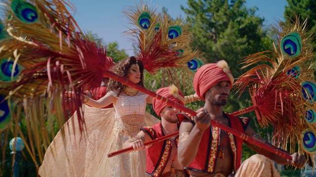 Video Reference: Carnival, Festival, Event, Dance, Tradition, Samba, Ritual, Folk dance, Feather
