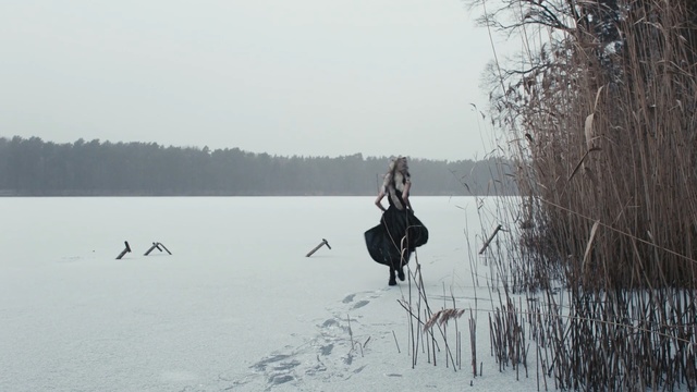 Video Reference: tree, winter, water, freezing, snow, bird, water bird, reflection, sky, ice