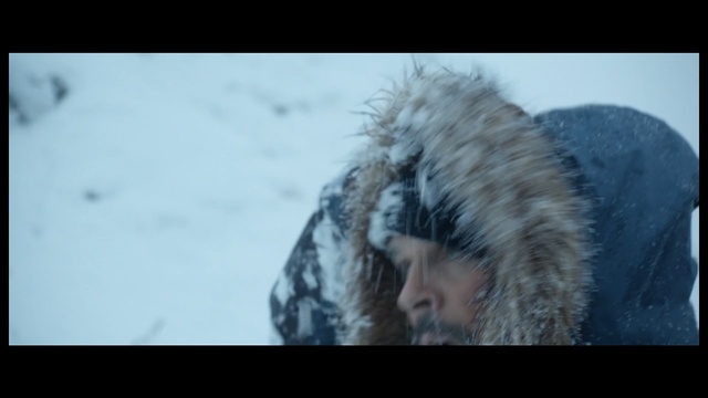 Video Reference: mammal, fauna, freezing, fur, snow, winter, squirrel, snout, wildlife, rodent