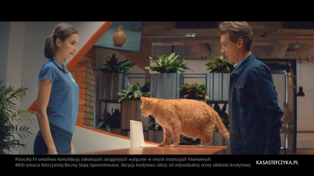 Video Reference: Felidae, Cat, Snapshot, Adaptation, Human, Photo caption, Organism, Conversation, Small to medium-sized cats, Screenshot