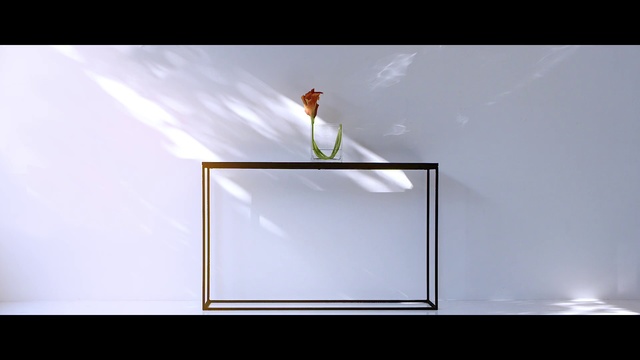 Video Reference: Rectangle, Material property, Transparent material, Still life photography, Glass, Table, Ceiling, Furniture, Picture frame