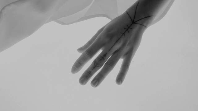 Video Reference: White, Hand, Finger, Skin, Black-and-white, Arm, Nail, Joint, Photography, Monochrome
