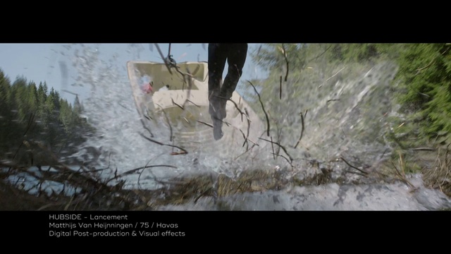 Video Reference: Nature, Water, Tree, Branch, Organism, Plant, Wildlife, Adaptation, Reflection, Art
