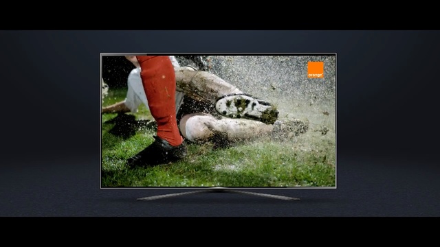 Video Reference: Turtle, Tortoise, Adaptation, Reptile, Organism, Wildlife, Photo caption, Photography, Sea turtle