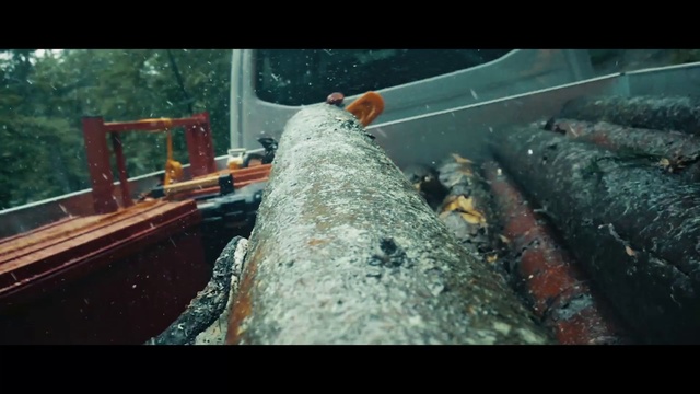 Video Reference: Water, Tree