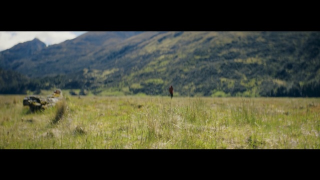 Video Reference: range, landscape, sky, tree, field, forest, mountain, grass, summer, land, mountains, meadow, highland, plain, steppe