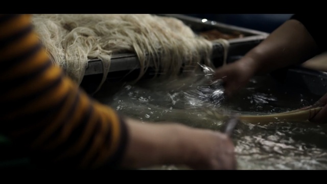 Video Reference: Hand, Fur, Shoe, Art