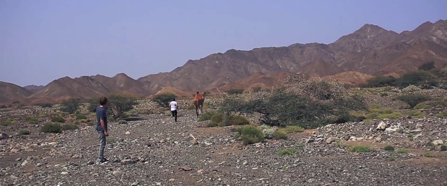 Video Reference: Mountainous landforms, Wadi, Mountain, Wilderness, Geological phenomenon, Plant community, Ridge, Trail, Hill, Ecoregion